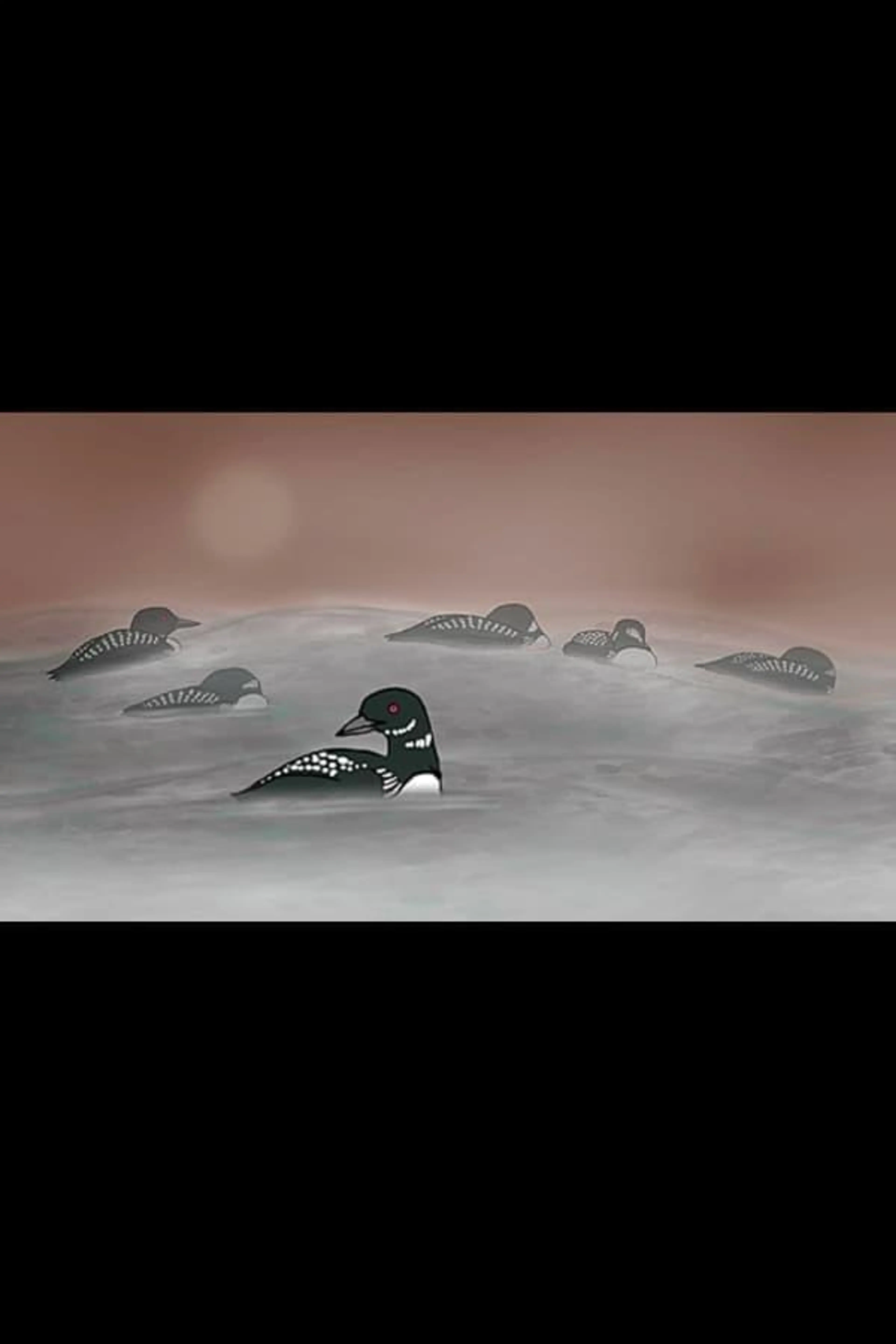 Loon Dreaming
