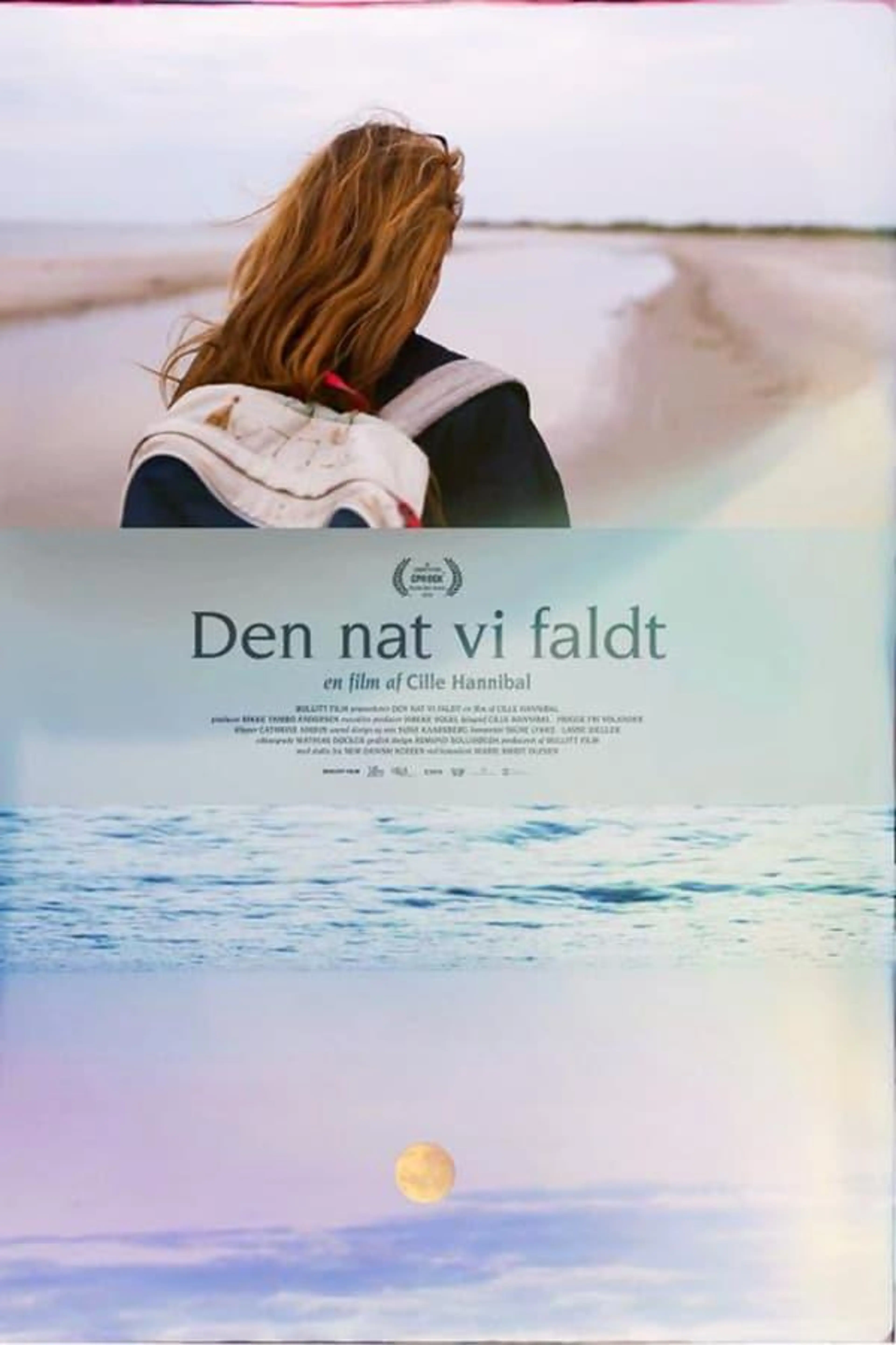The Night We Fell