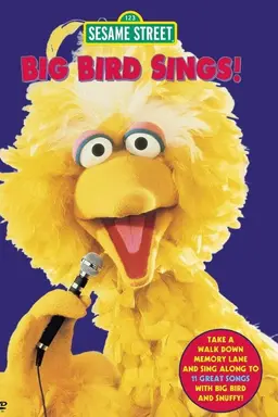 Sesame Street: Big Bird Sings!