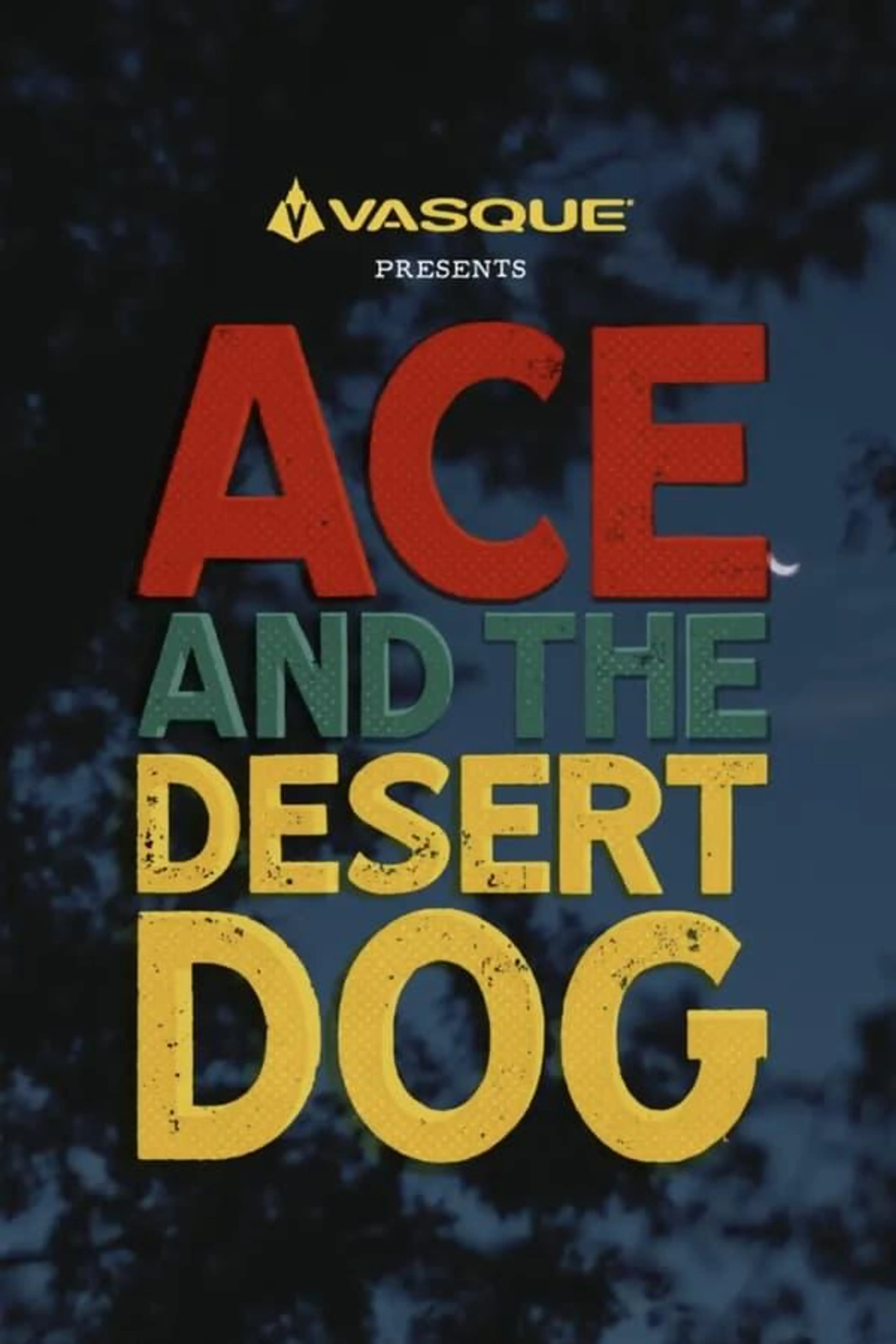 Ace and the Desert Dog