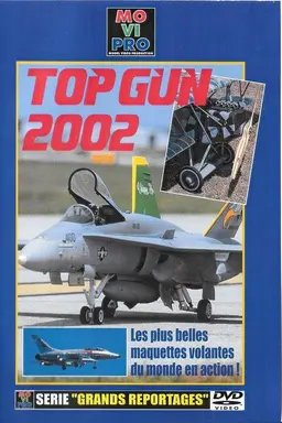TOP GUN 2002
