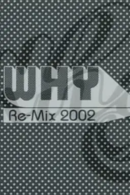 Why Re-Mix