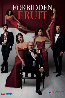 Yasak Elma Season 2