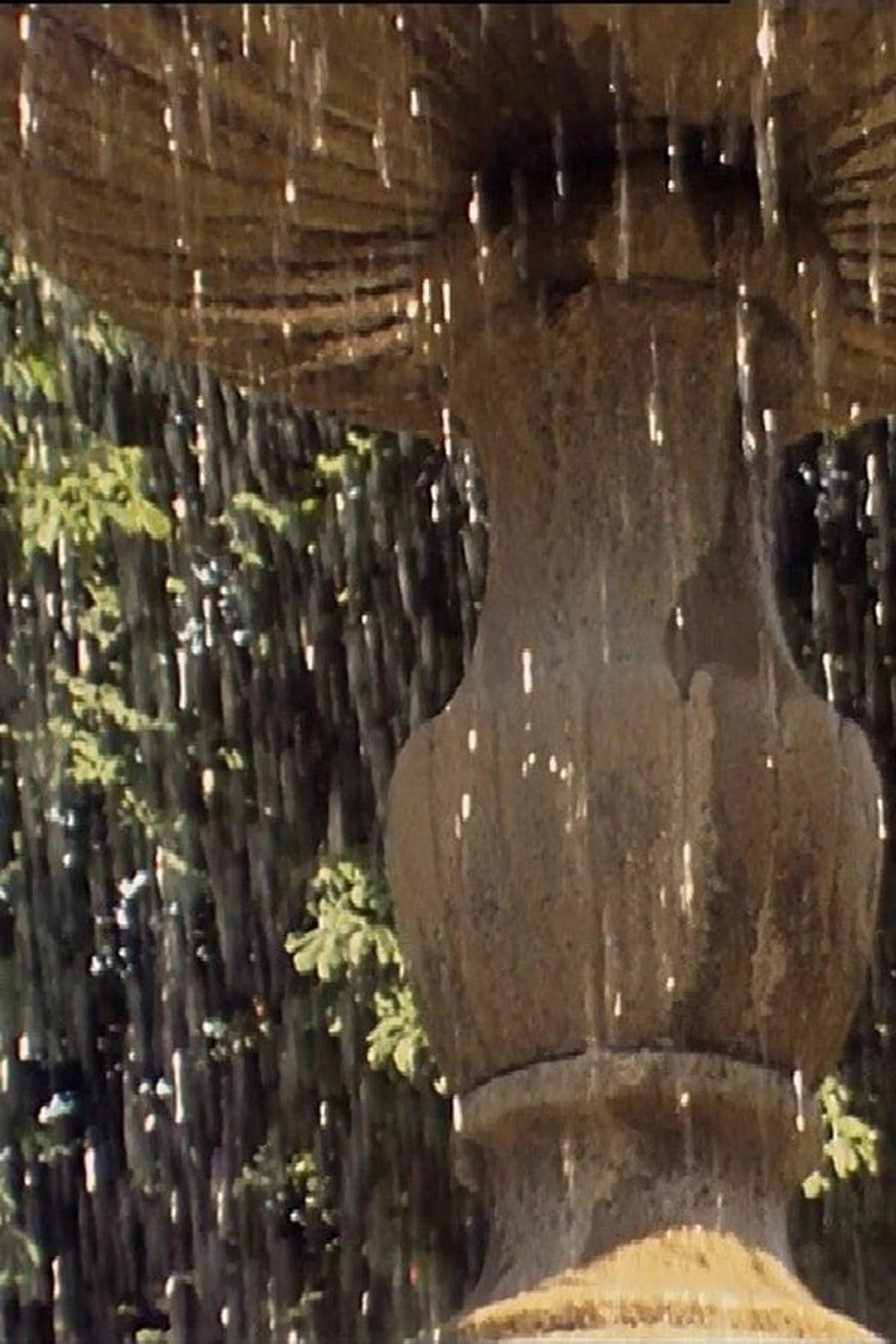 Falling Water