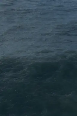 Twenty Nine Minutes at Sea