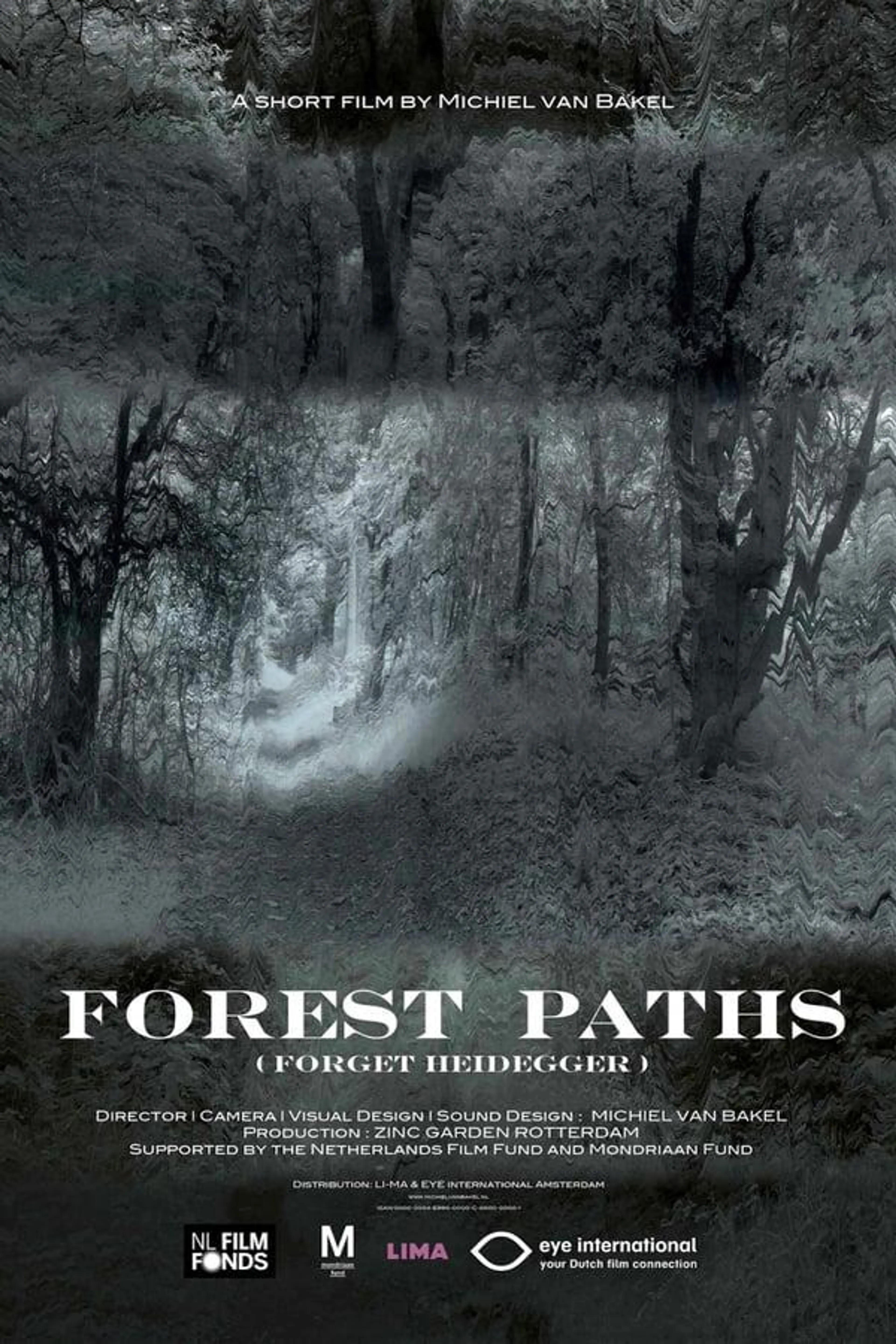Forest Paths (forget Heidegger)