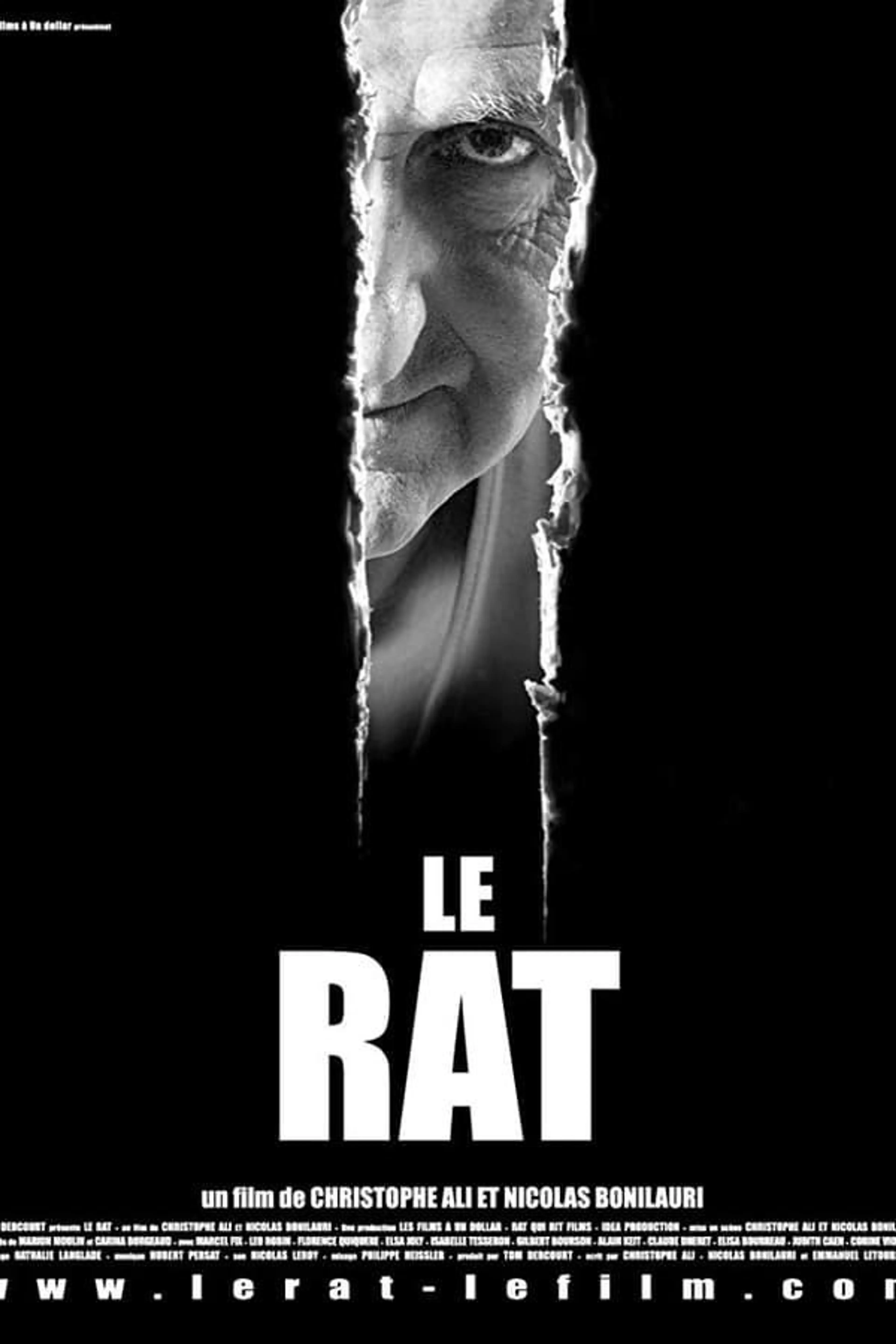 The Rat