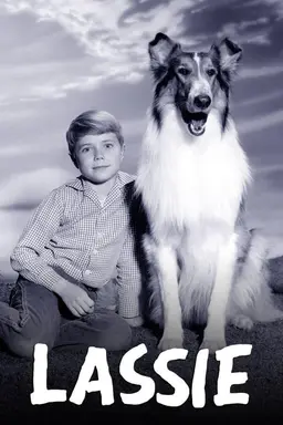 Lassie Specials