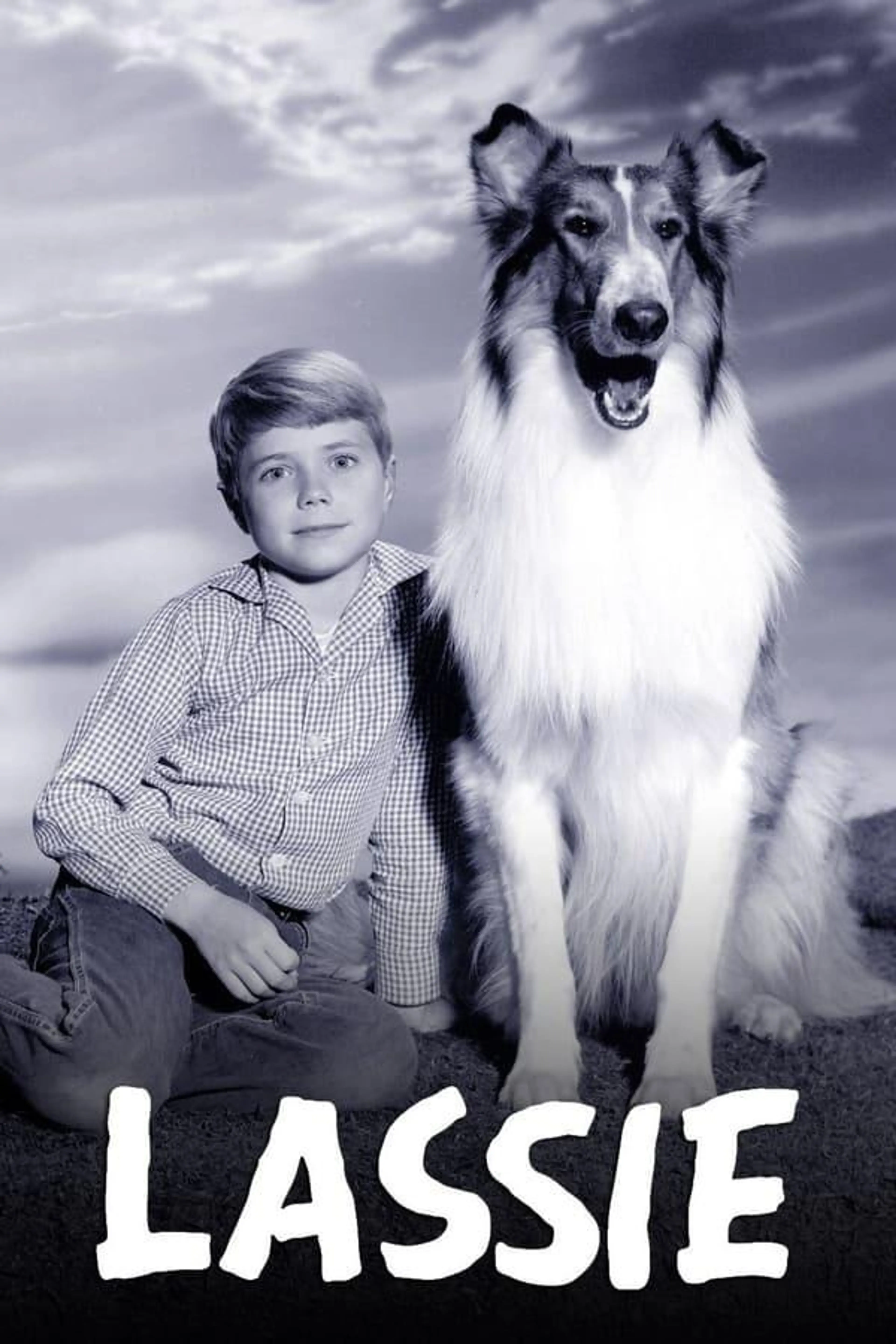 Lassie Specials