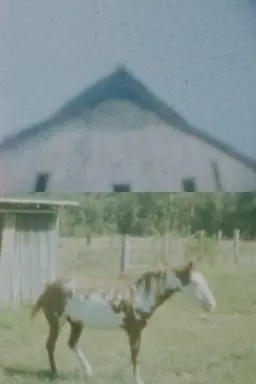 Our Landmark: My Fair Share