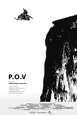 P.O.V