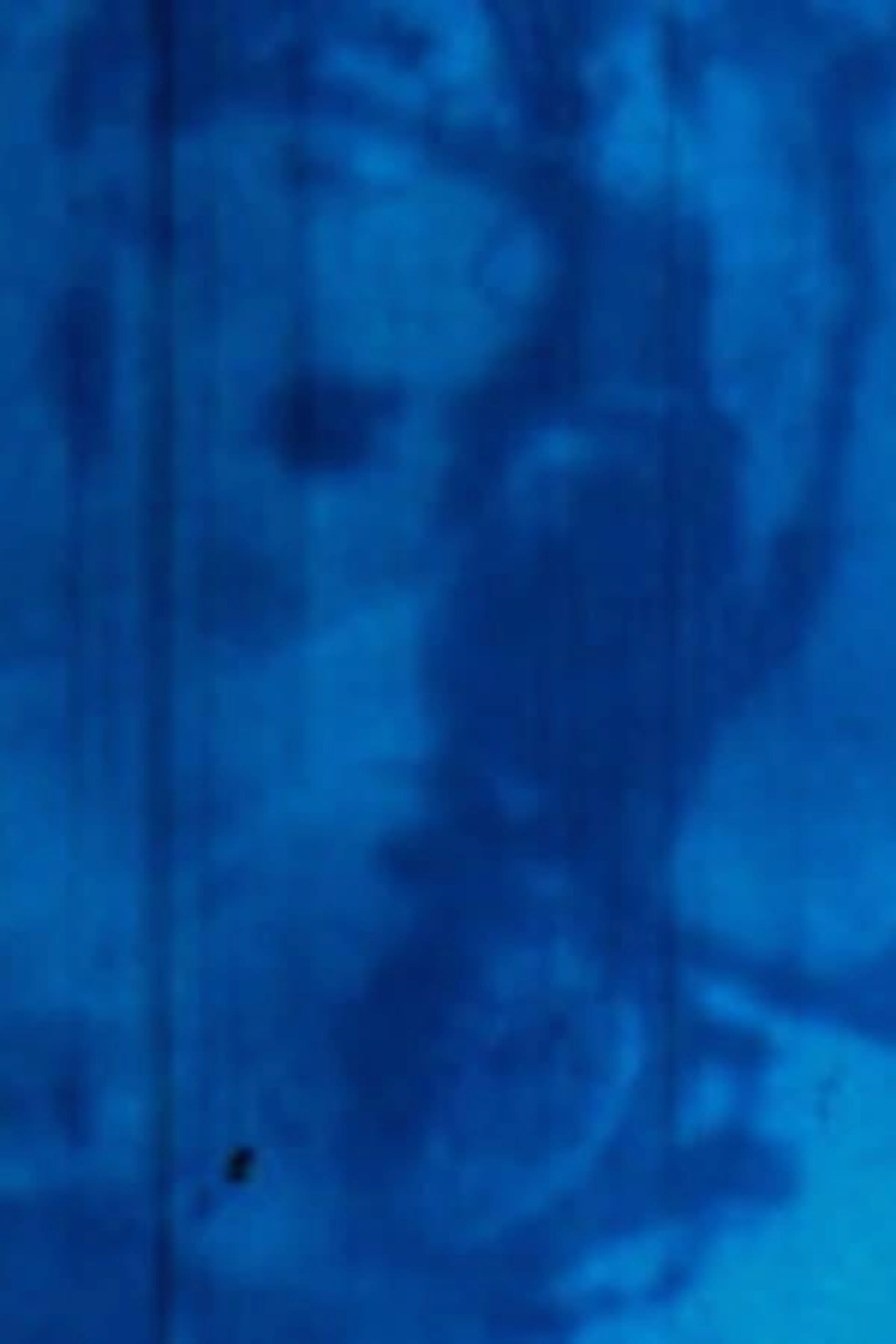 Rayures (Rayures, effacement / Disparition)