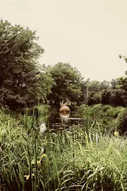 The Woman in the Grounds