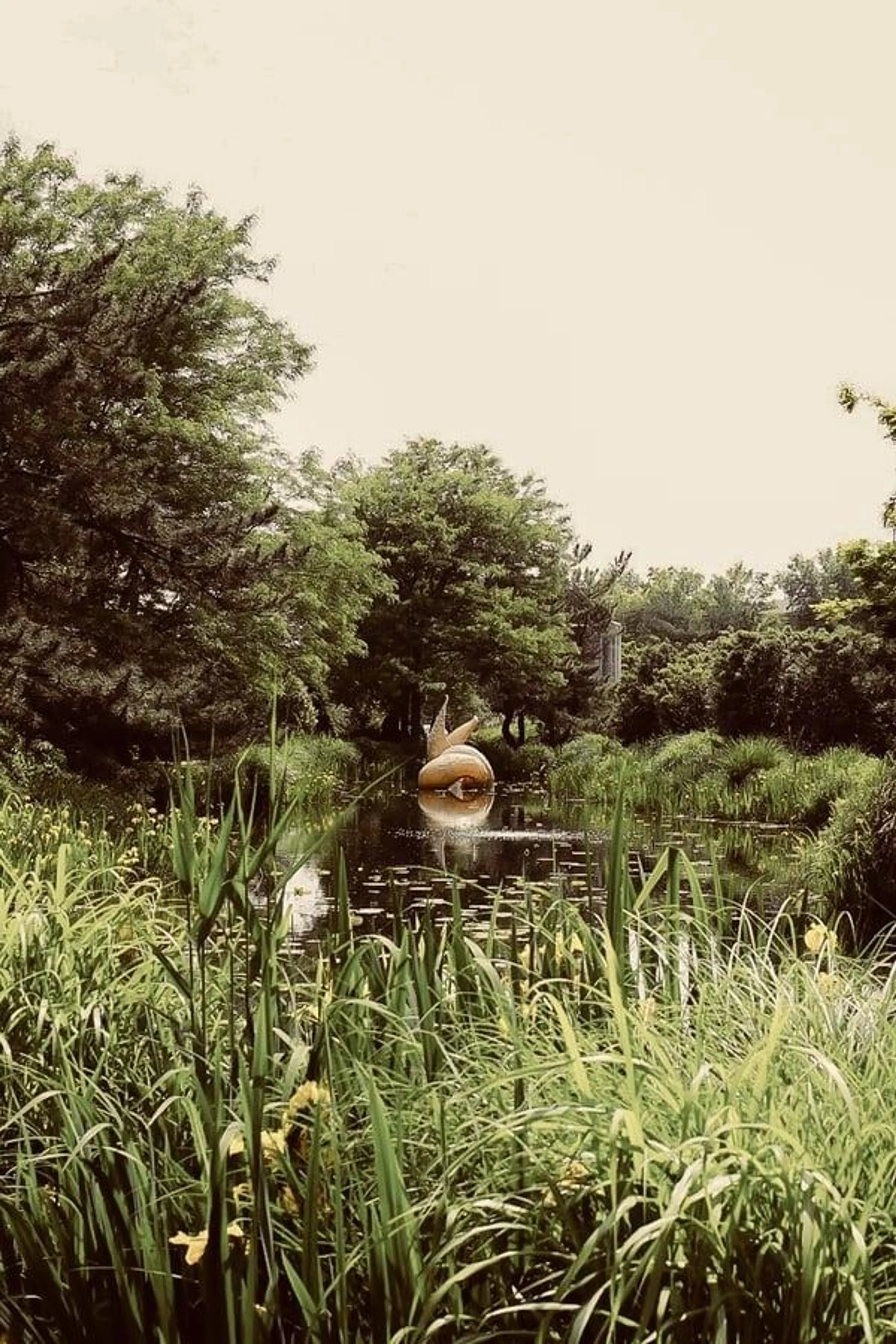 The Woman in the Grounds