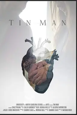 Tin Man