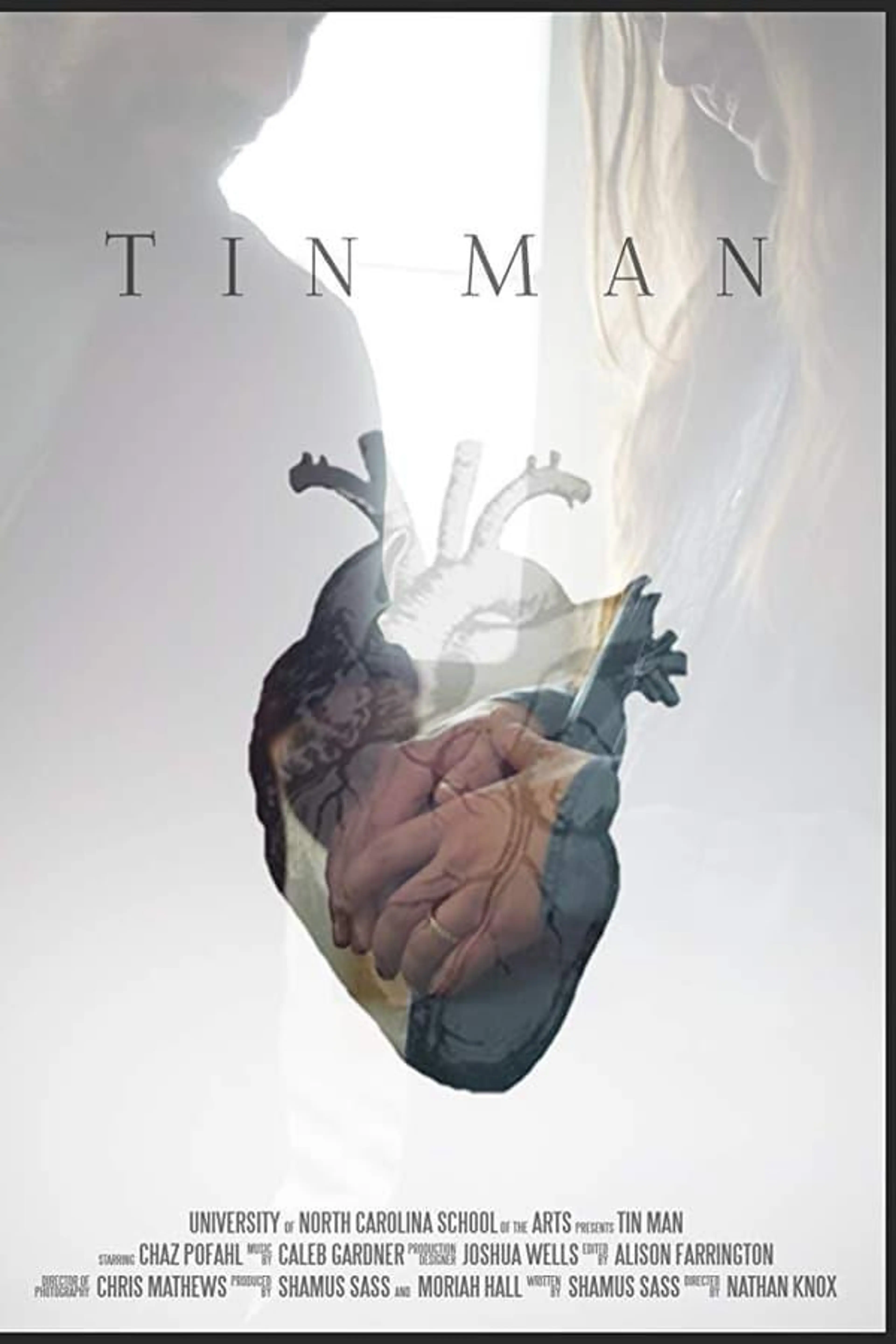 Tin Man