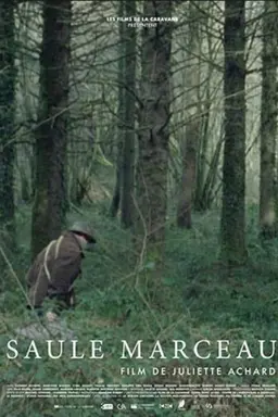 Saule Marceau