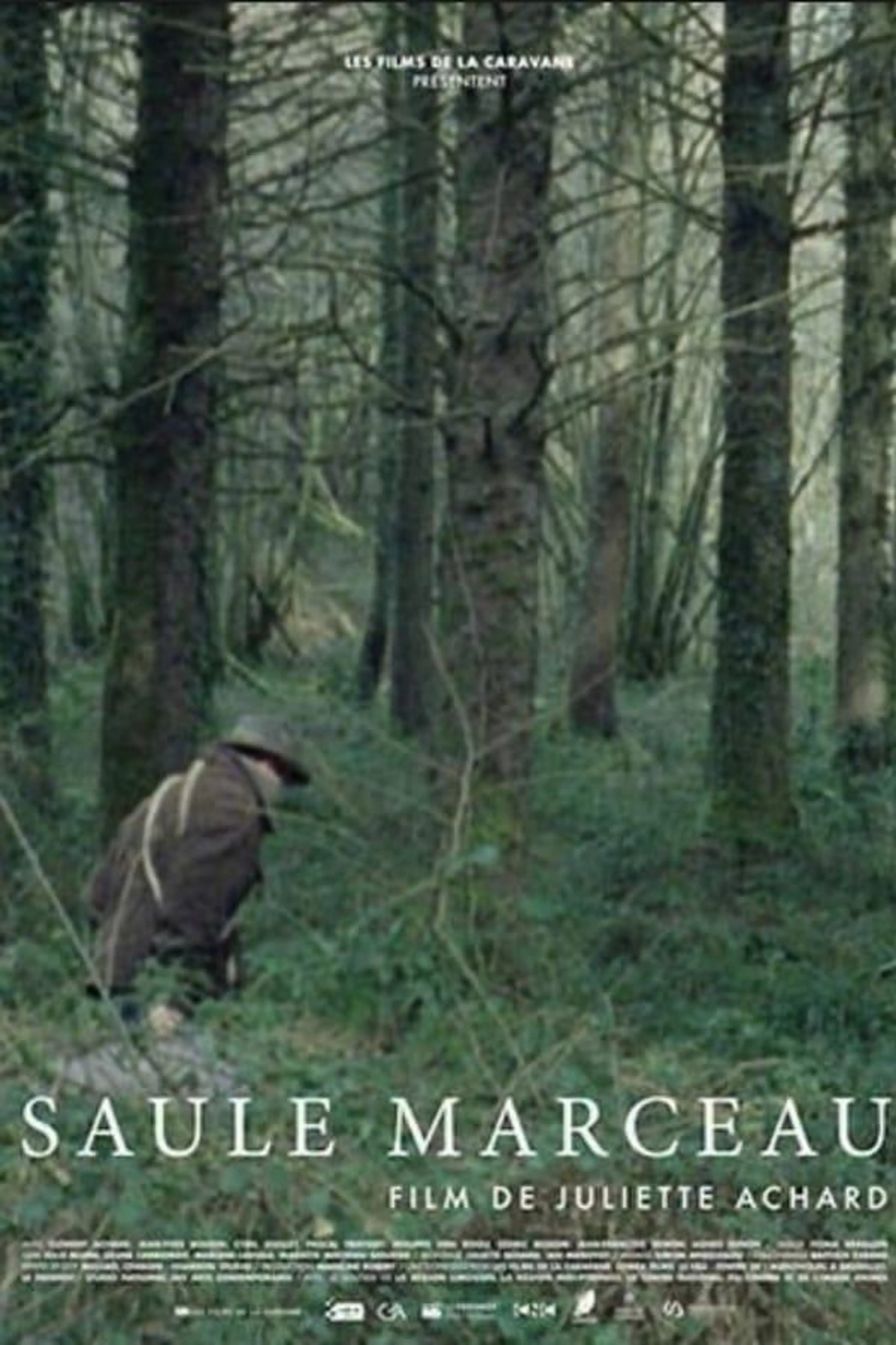 Saule Marceau