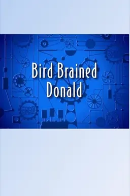 Bird Brained Donald