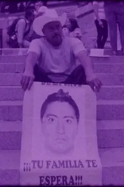 Have You Seen?