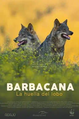 Barbacana, la huella del lobo