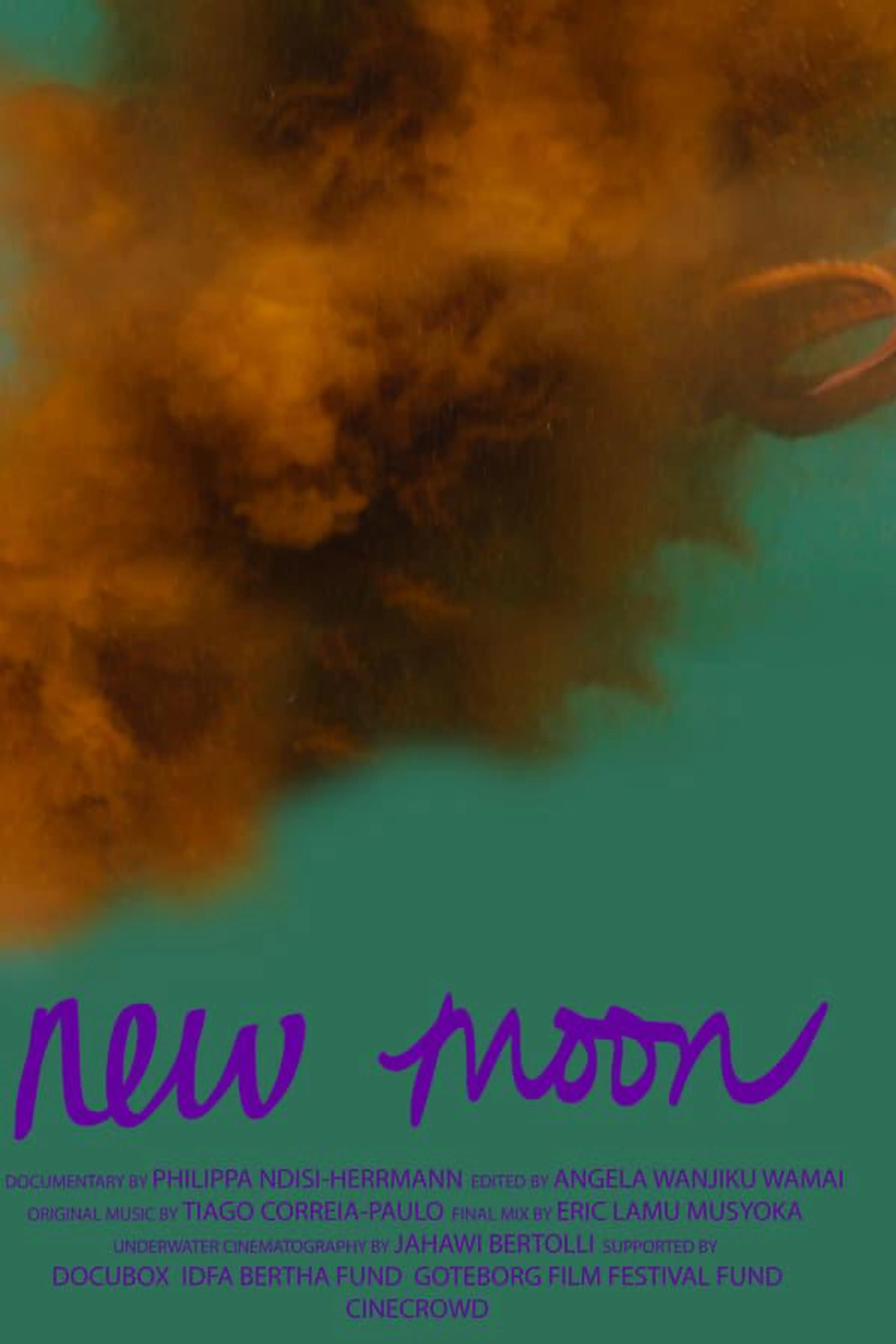 New Moon