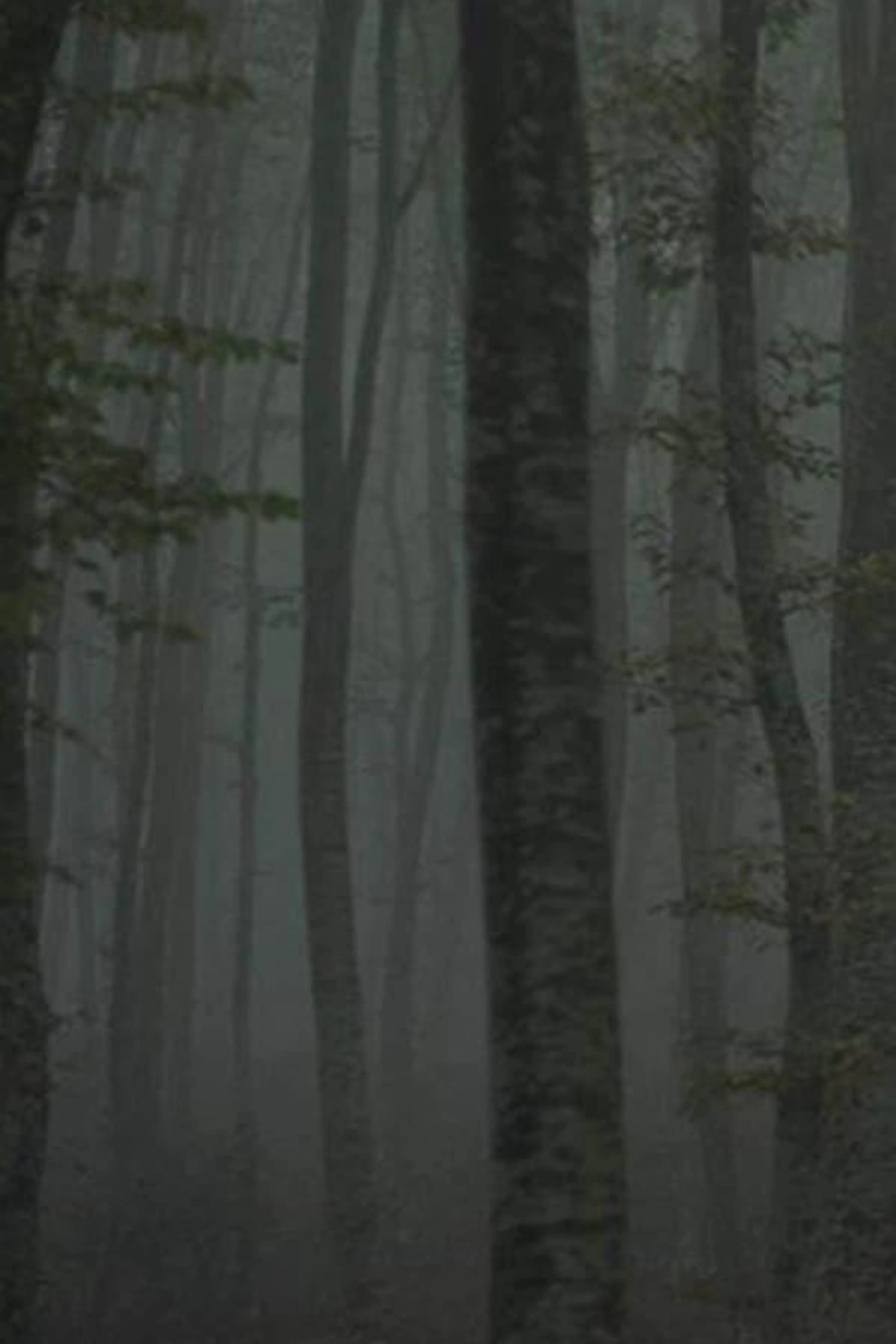 Refuge II: The Ice Path