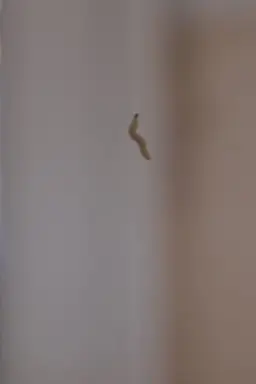 Second Chance