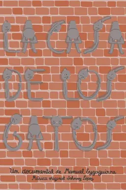 La casa de los gatos