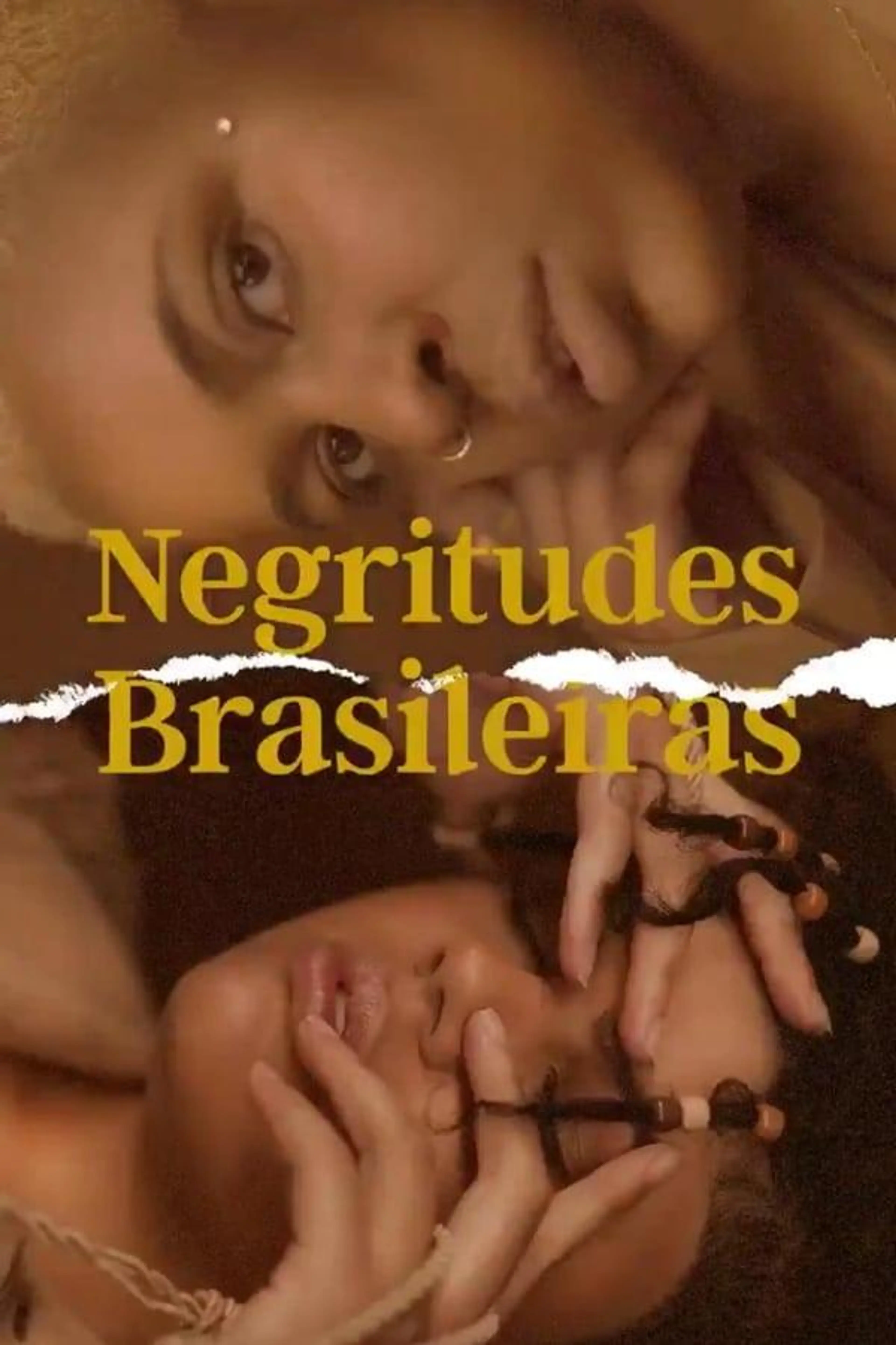 Negritudes Brasileiras