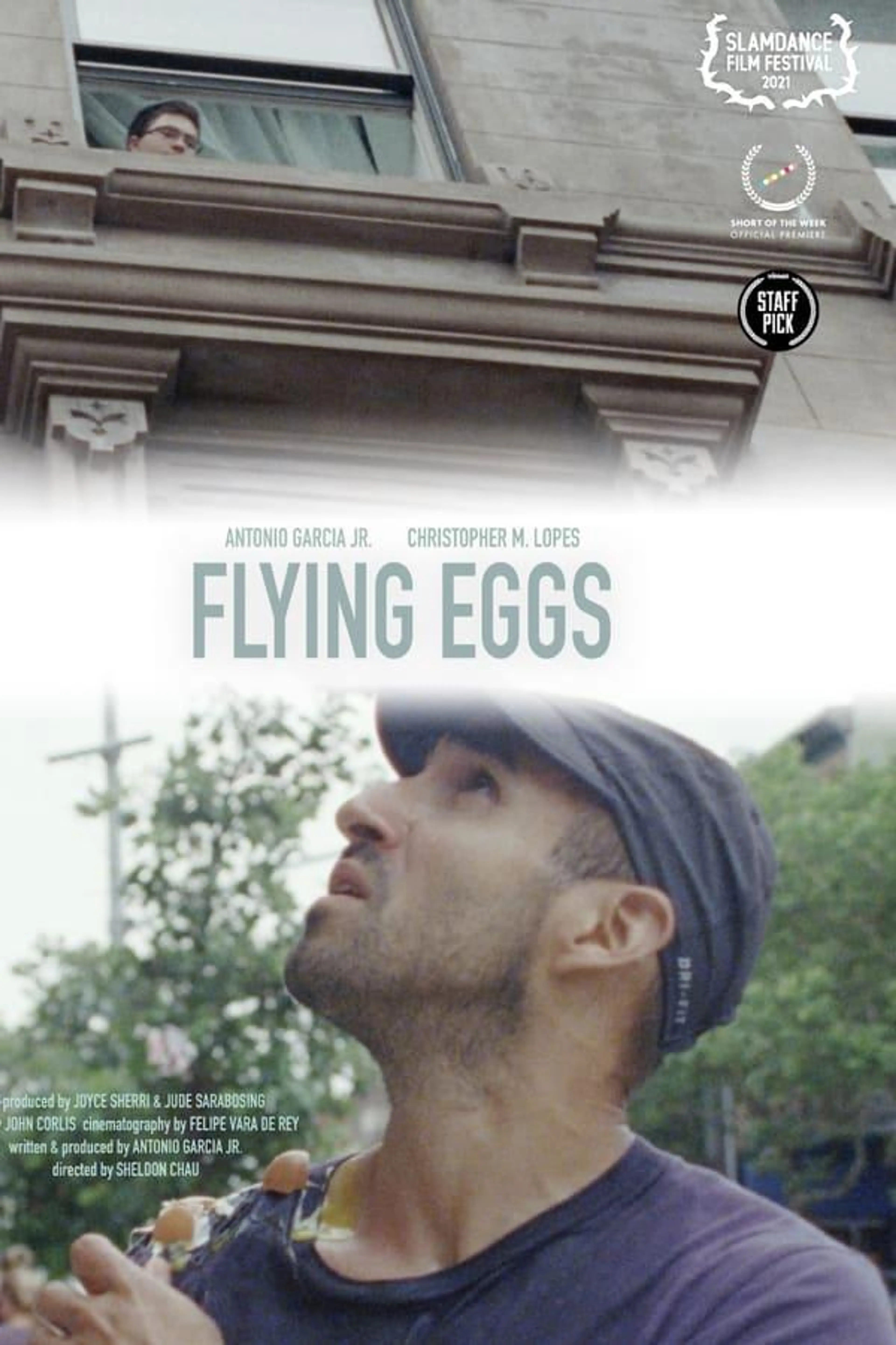 Flying Eggs