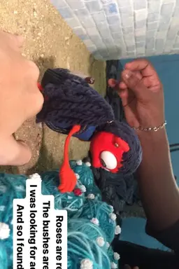 Ilhas