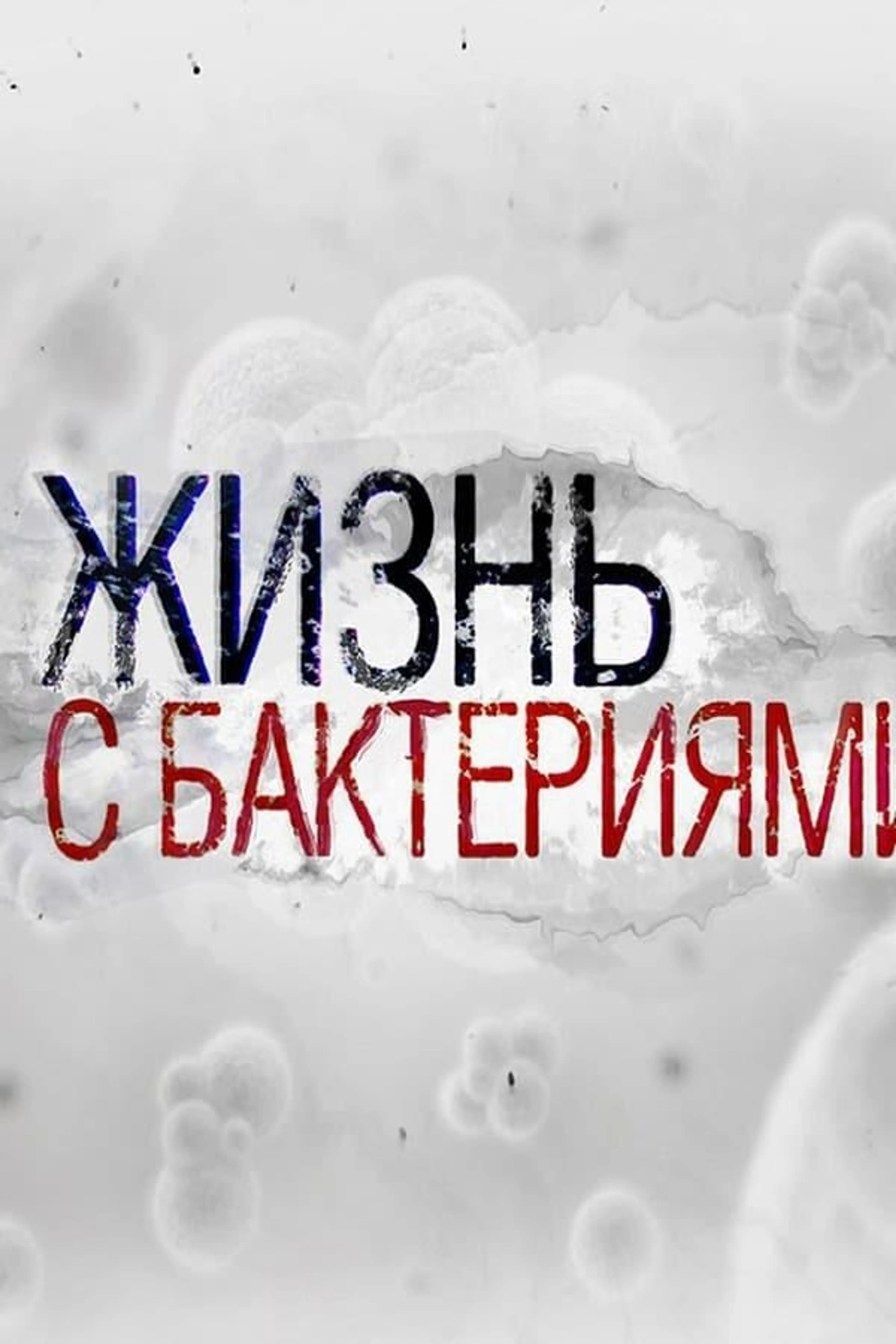 Life With Bacteria