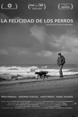 La felicidad de los perros