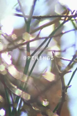 Openings