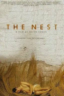 The Nest