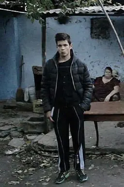 Paper, Horse and Birds