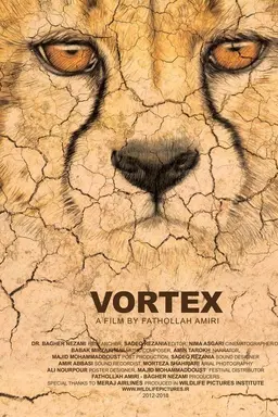 Vortex
