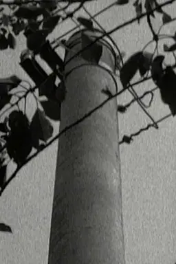 Pistrino