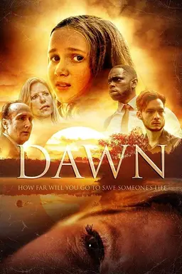 Dawn