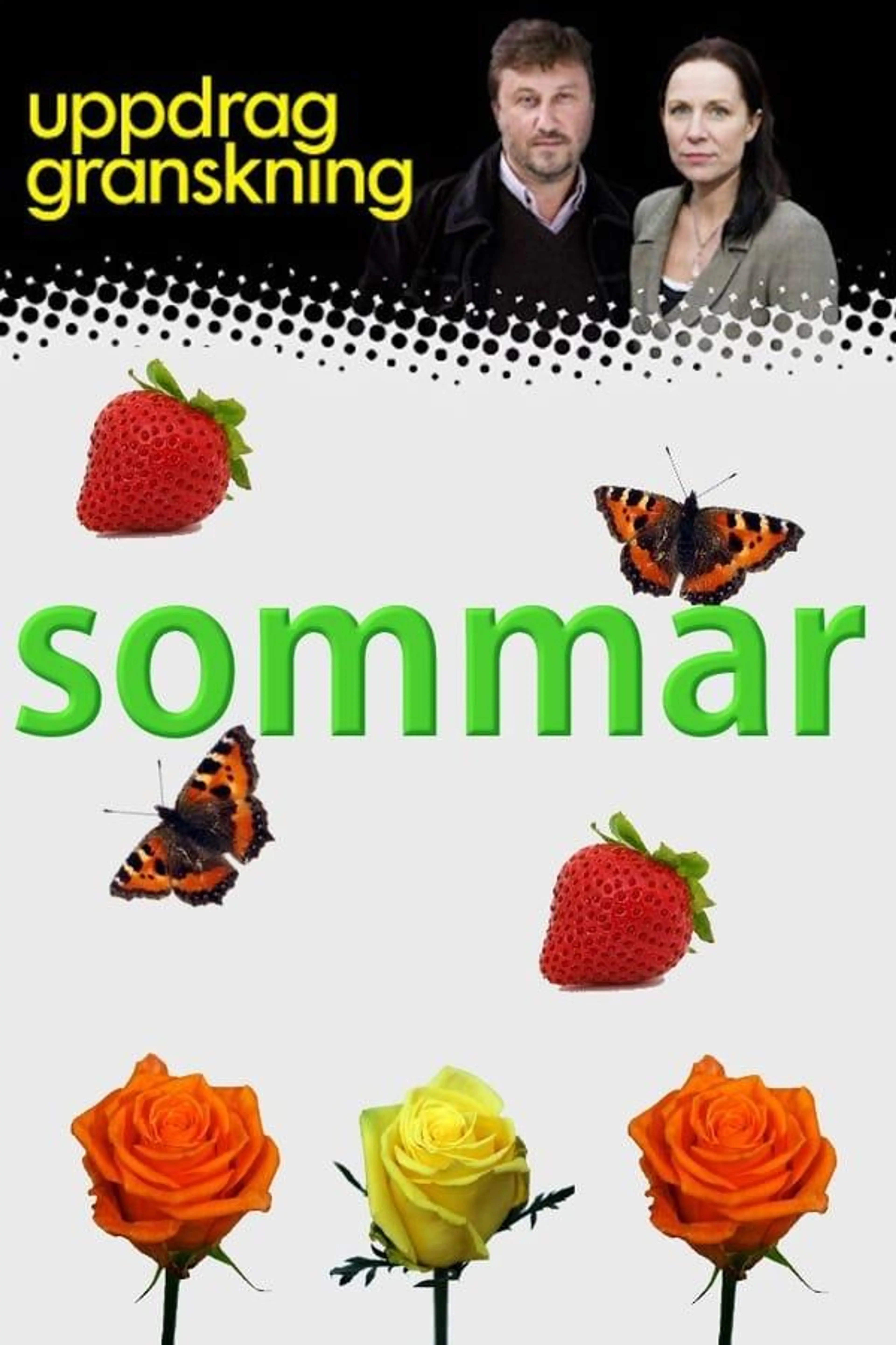 Uppdrag granskning sommar Specials