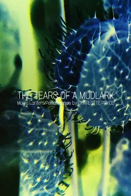 The Tears of a Mudlark