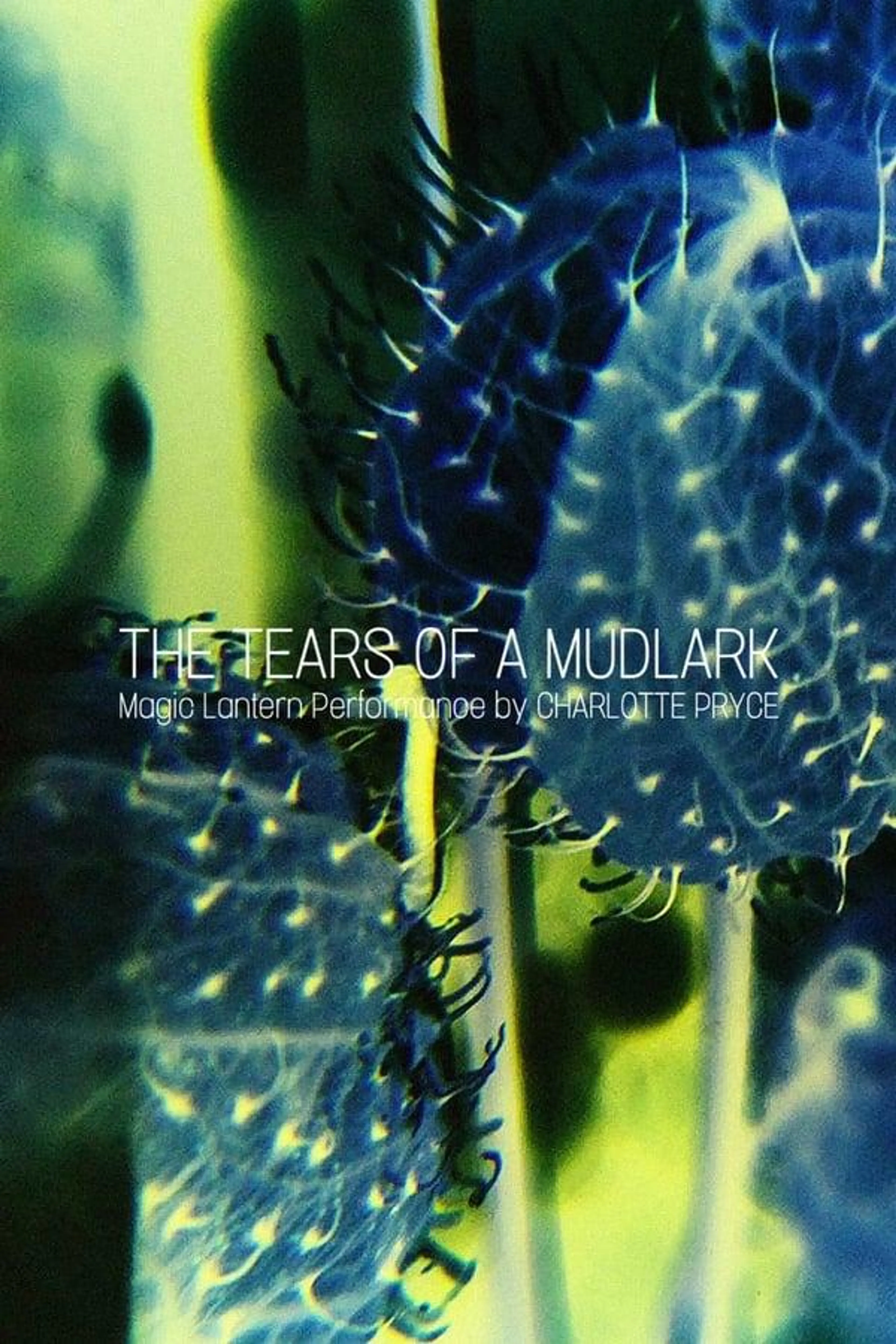 The Tears of a Mudlark