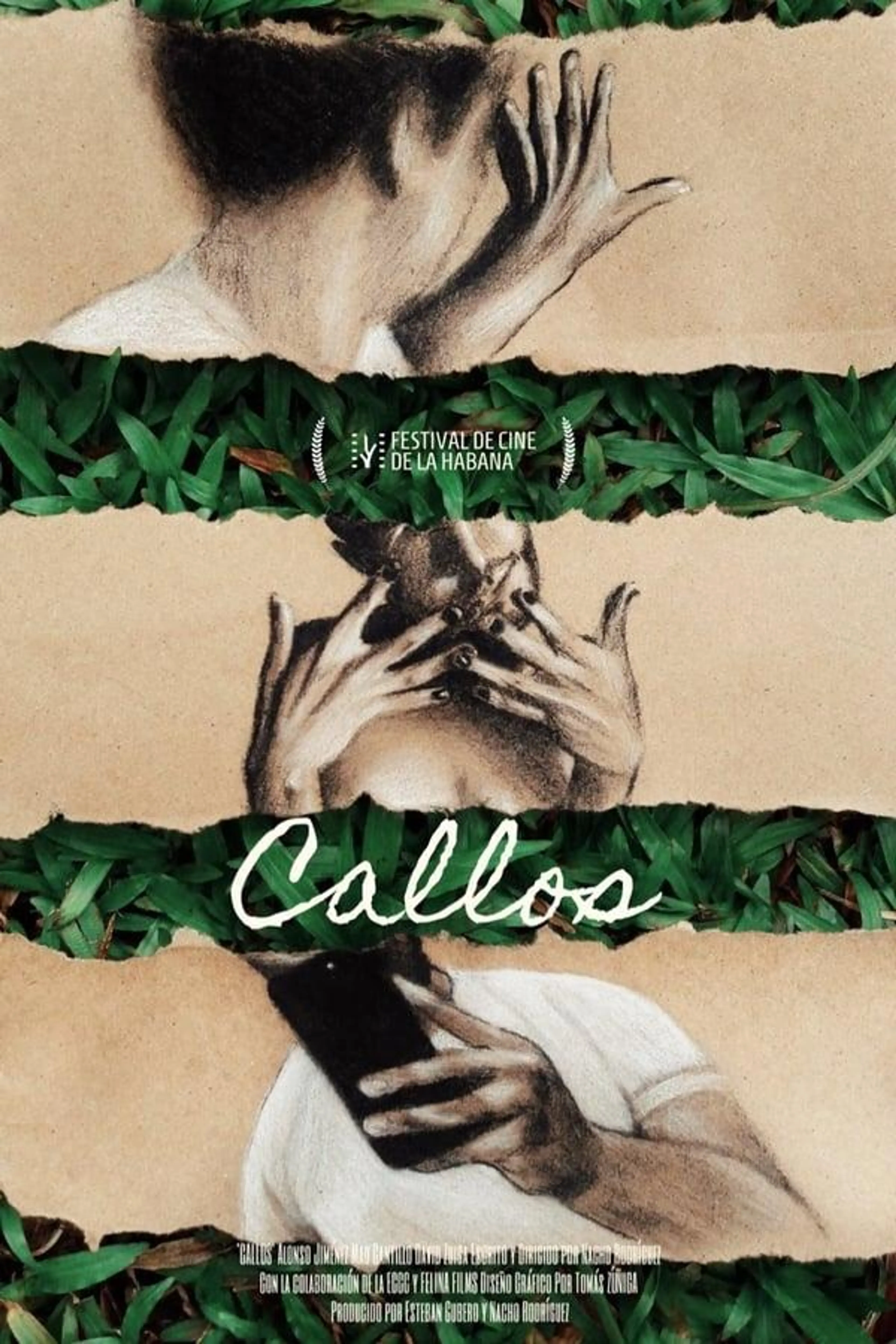 Callos