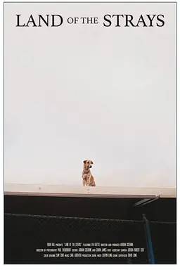 Land of the Strays