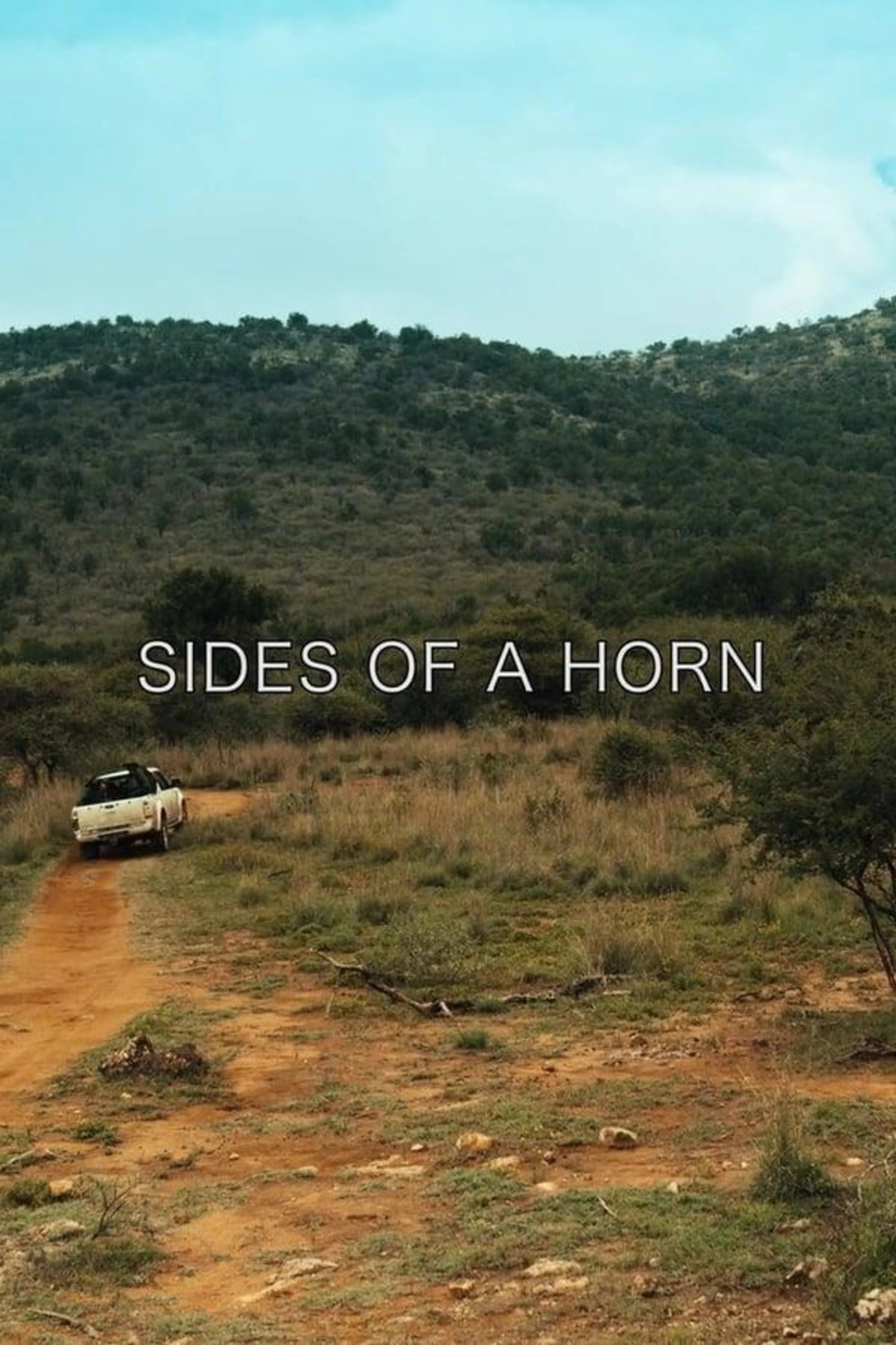 Sides of a Horn