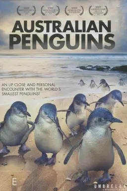Australian Penguins