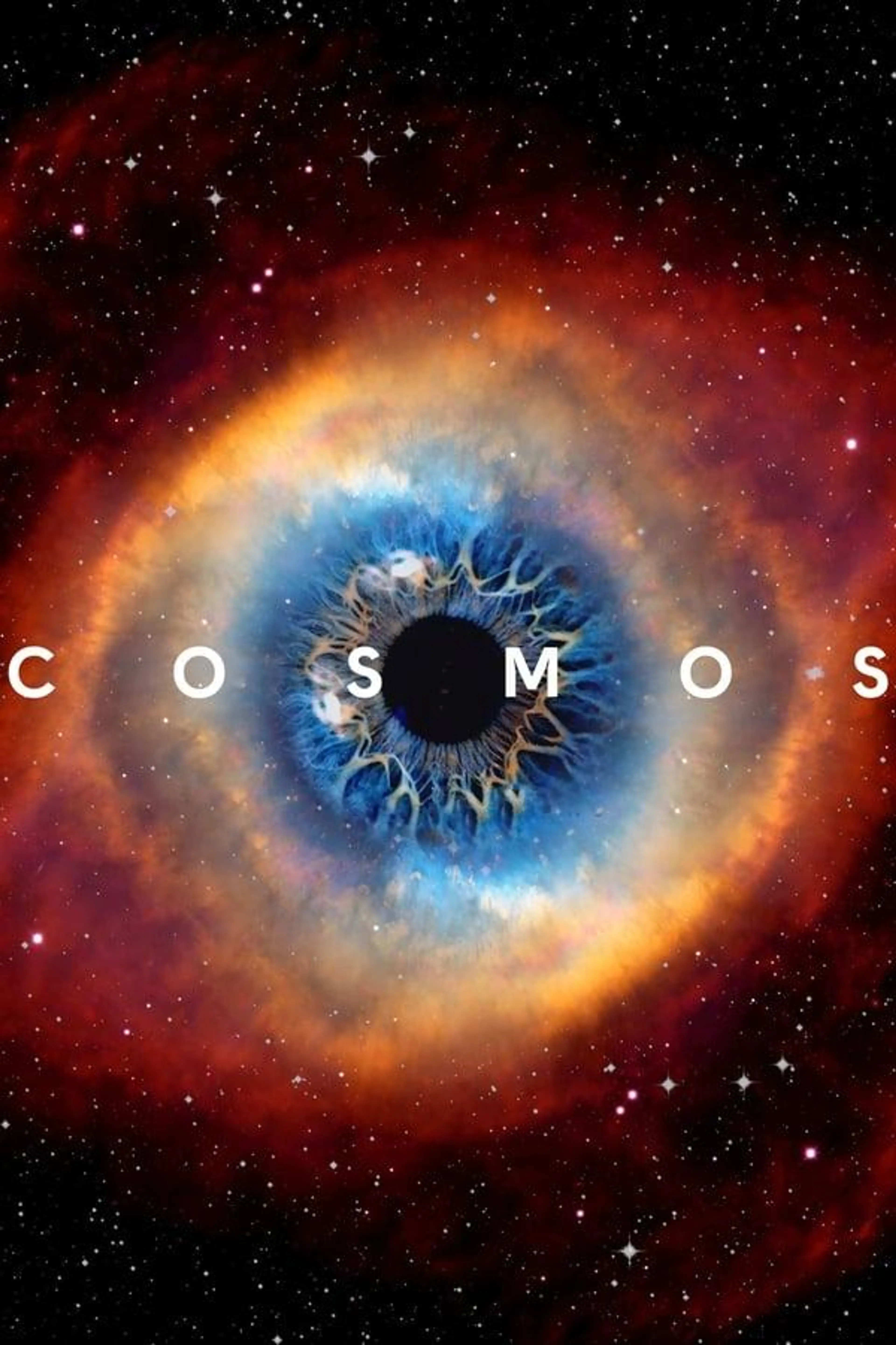 Cosmos Possible Worlds