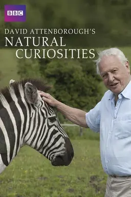David Attenborough's Natural Curiosities Season 4