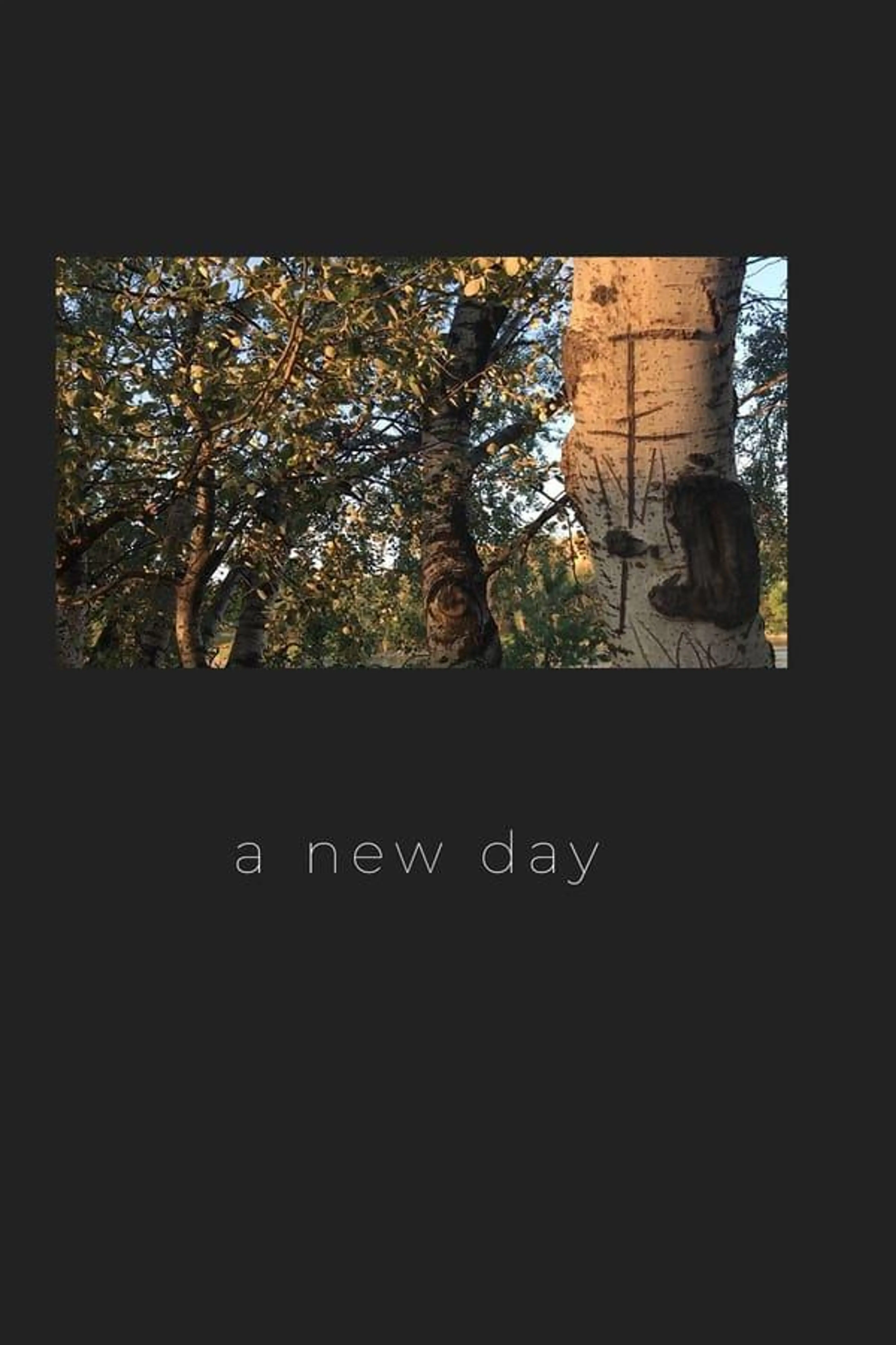 A New Day